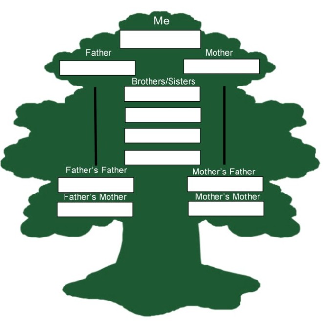 free blank family tree template. lank family tree template for