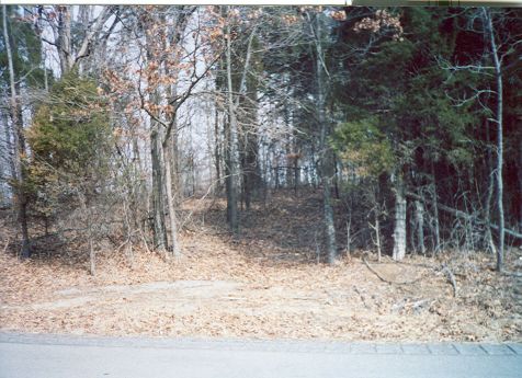 Path to Dukes-King Cemetery