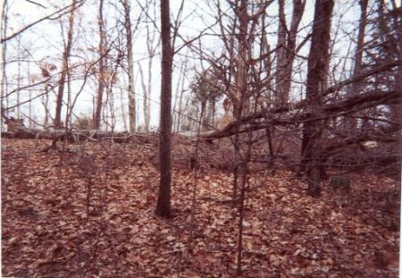 View of Dukes-King Cemetery