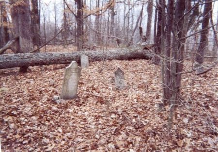 Dukes-King Cemetery