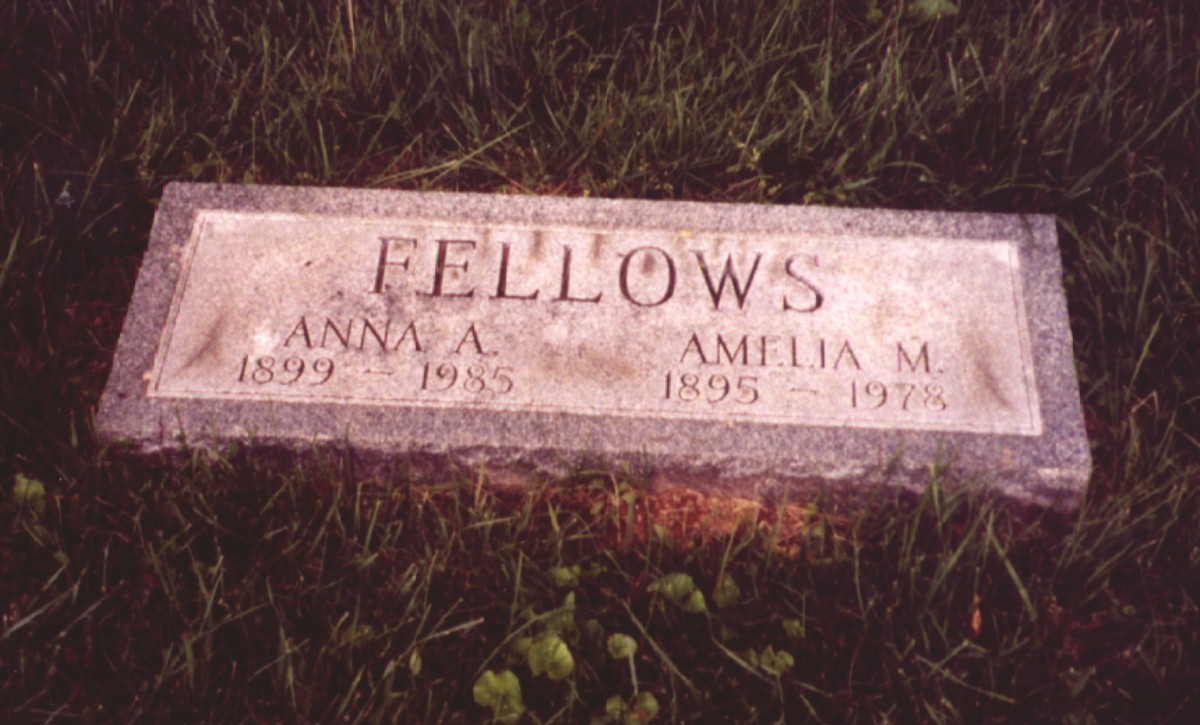 Anna Fellows
