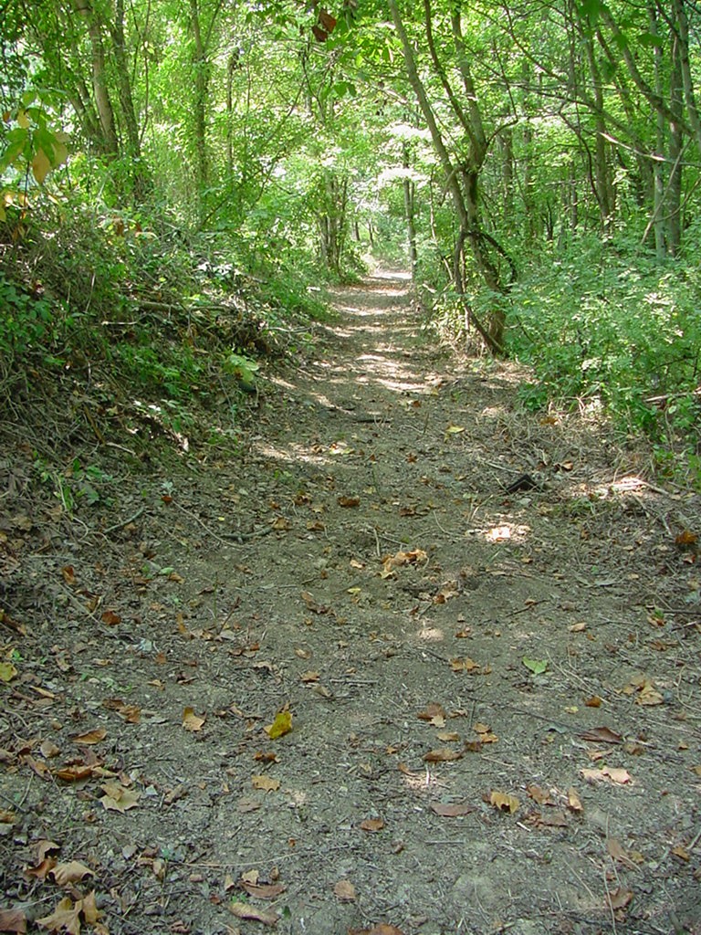 Trail_Construction_Aug_20_2008_02.JPG