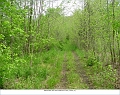 Trail_east_of_Lawton_page_18