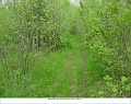 Trail_east_of_Lawton_page_19