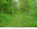 Trail_east_of_Lawton_page_20