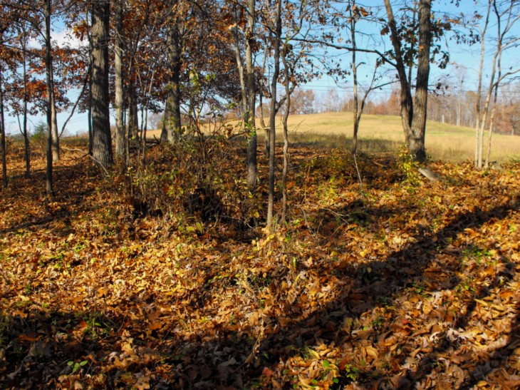 1Clark_Cemetery_7.jpg