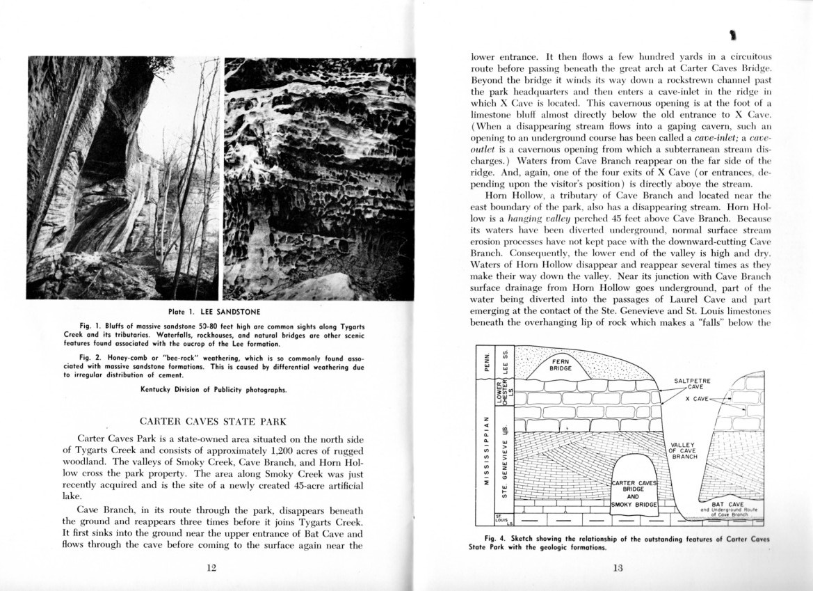 geology_of_carter_caves_09.jpg