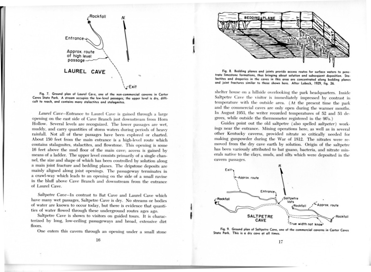 geology_of_carter_caves_11.jpg