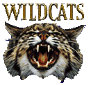 Wildcat